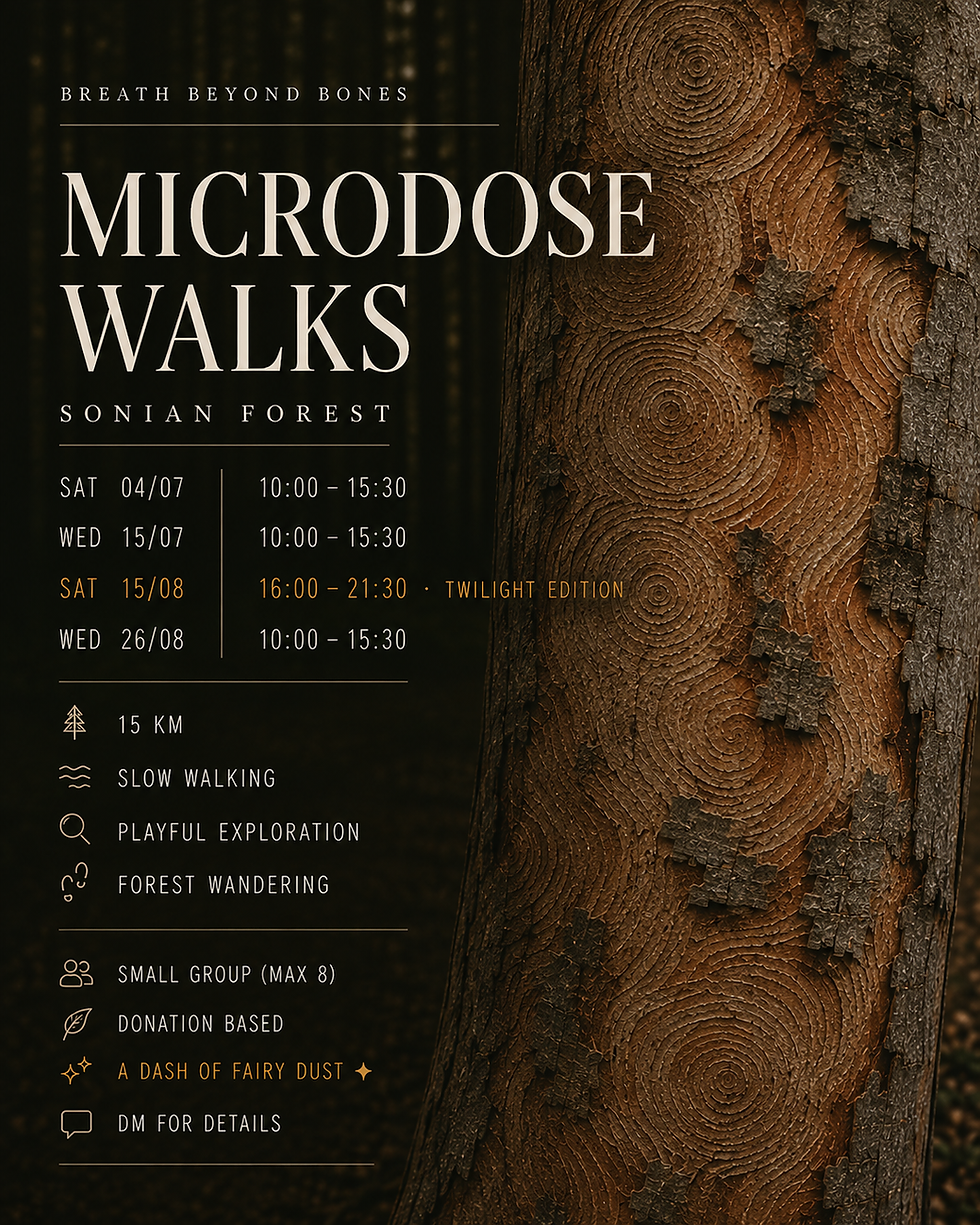 Microdose Walks Summer 2026
