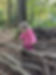 image00017.jpeg