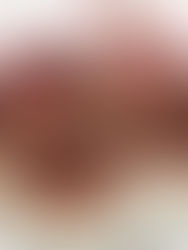       Himbeer- Buchweizen Schnitten 