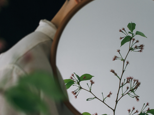 Zyklusbewusst leben – für mehr Energie, Klarheit und Leichtigkeit im Alltag 