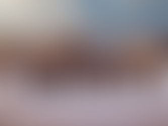 a herd of elephants walking together