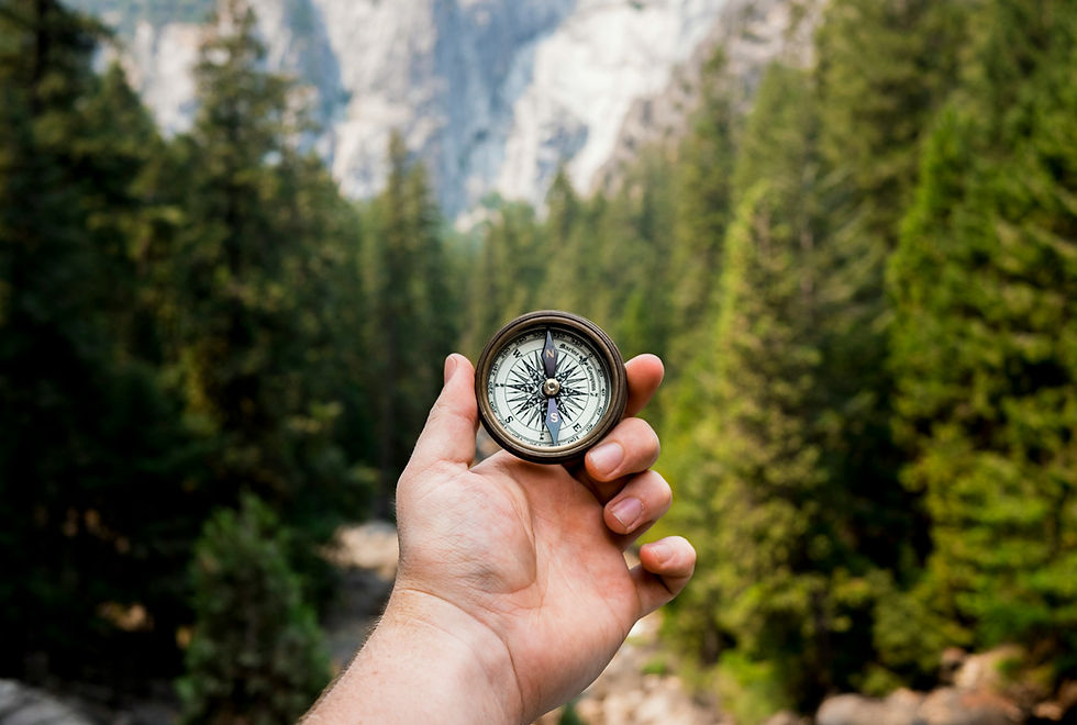 a hand holding a compass in trees and mountains