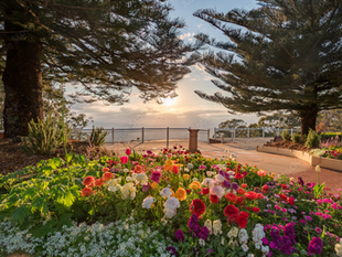 Direct Cremation in Toowoomba