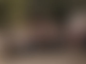 Ergebnisse Bogenturnier 2025