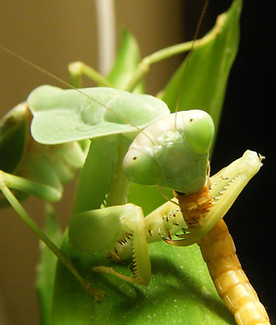 DSCF2272.jpg