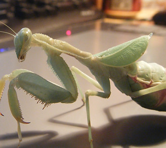 DSCF0418.JPG