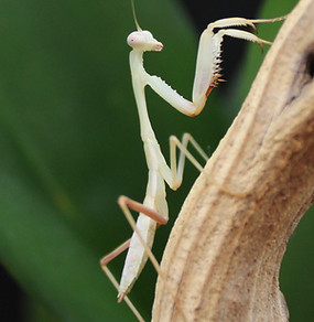 IMG_0315.JPG