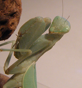 DSCF0308.JPG