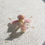 Thumbnail: Orchid Mantis (i2-i3) 
