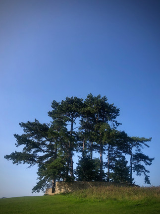 IMG_1630.jpeg