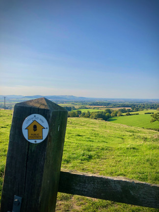 IMG_1505.jpeg