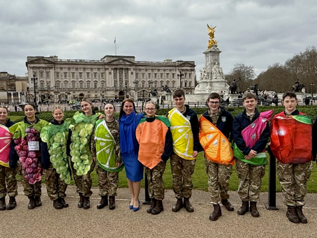 Irish Guards St Patrick’s Day Parade