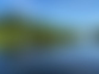 Gladiator Paddle-Board Review