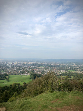IMG_1554.jpeg