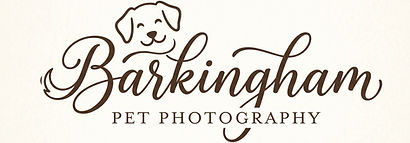 barkinghaam new logo.jpg