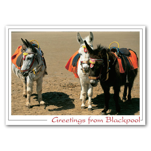 Blackpool Donkeys on Beach