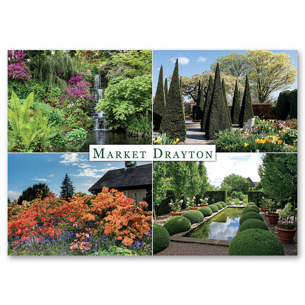Market Drayton, 4 view Composite