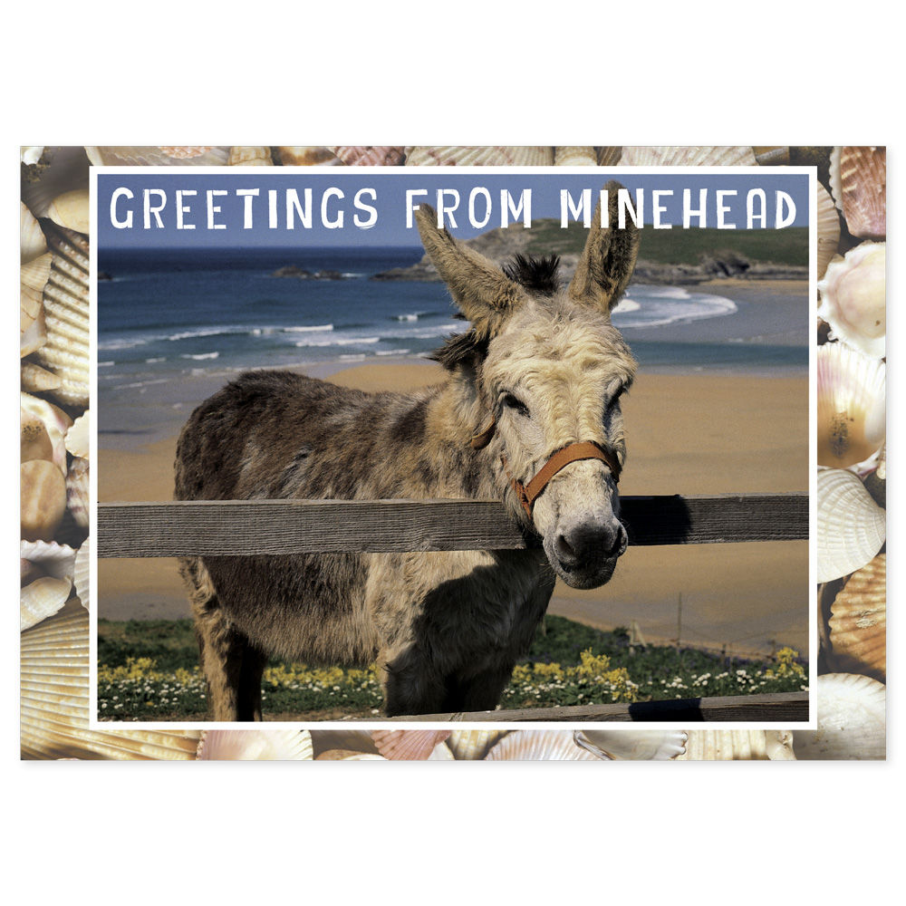Minehead Greetings From - Donkey