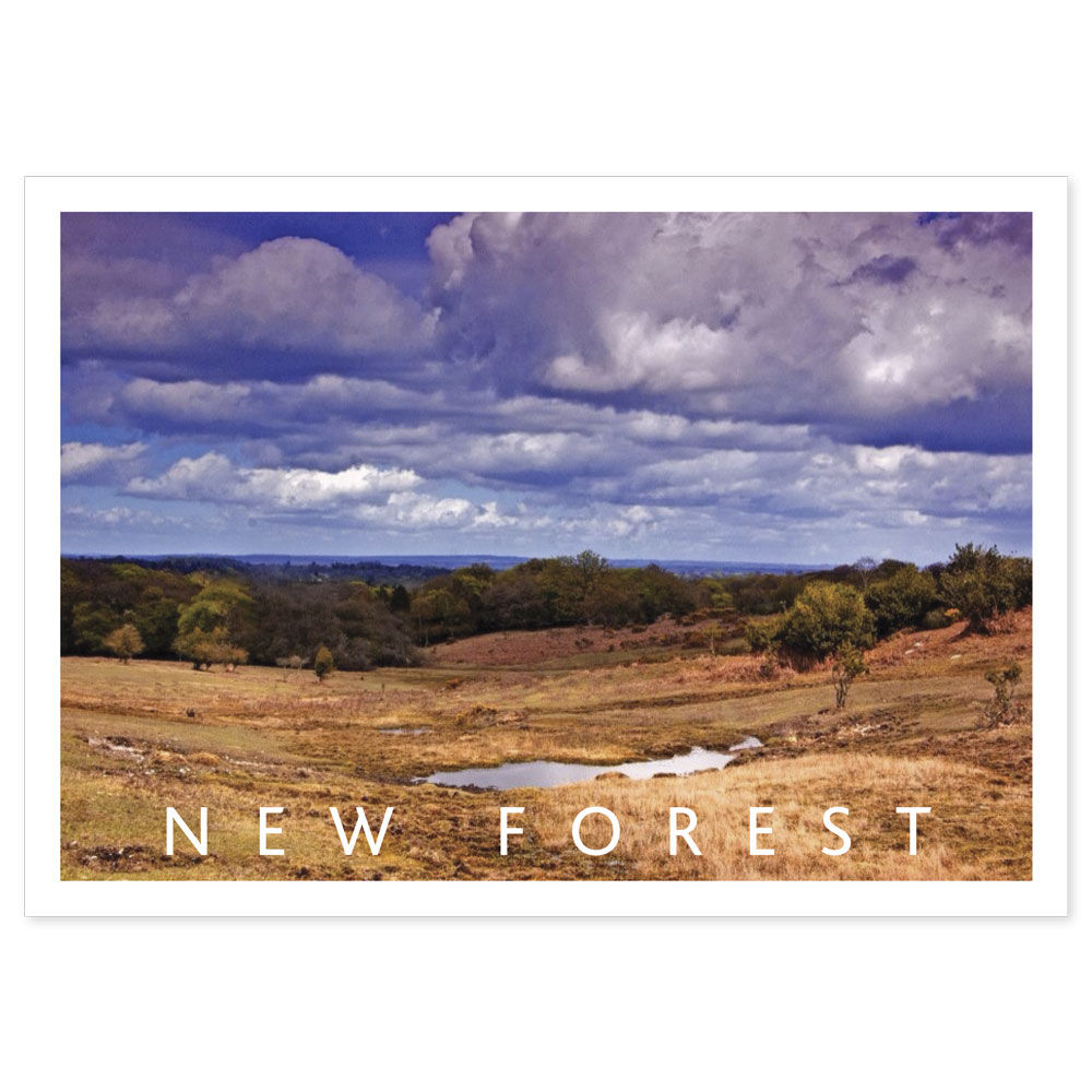 New Forest in Spring