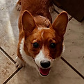 millie_edited.jpg