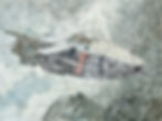 巡  30X40cm 2024.jpg