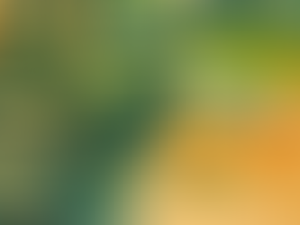 Paws and Tales, Episode 3: Hiroshi Yamamoto, Landscape Architect 