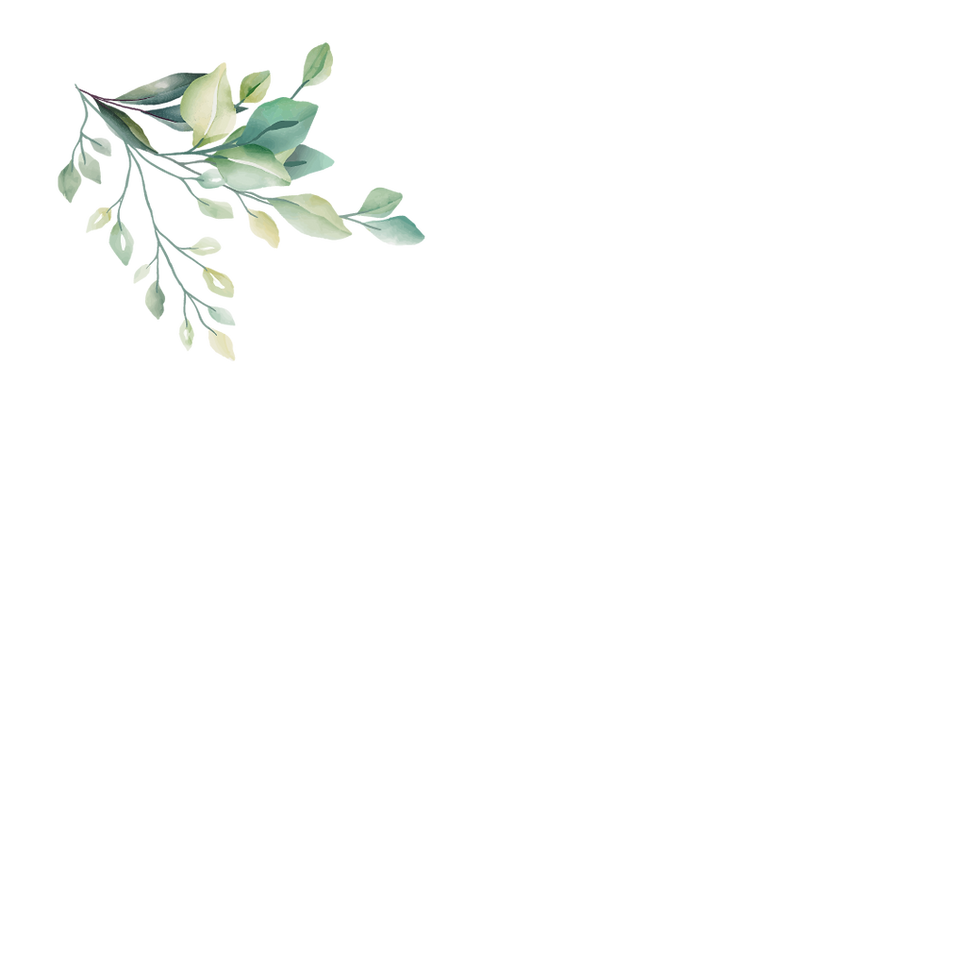 Floral branch with leaves, white flowers on a black background Home