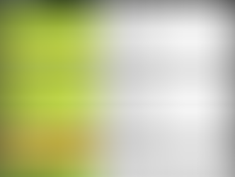 2017 Top Notch Schedule Released