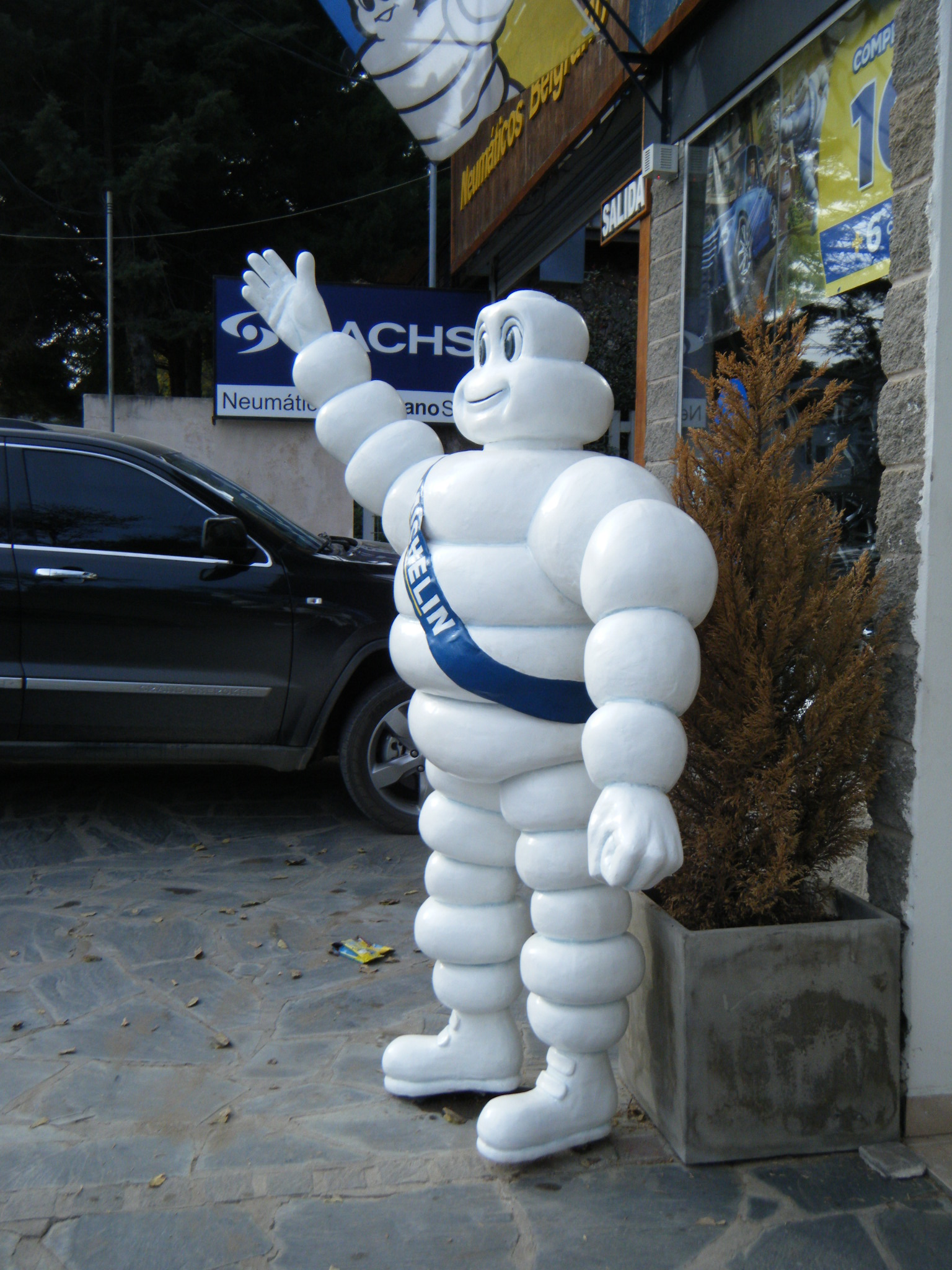 Michelin resina poliester