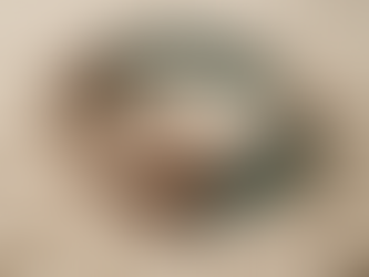 Must-Have Accessories for Your Dog or Cat