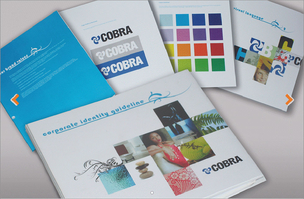 Cobra Corporate Collateral