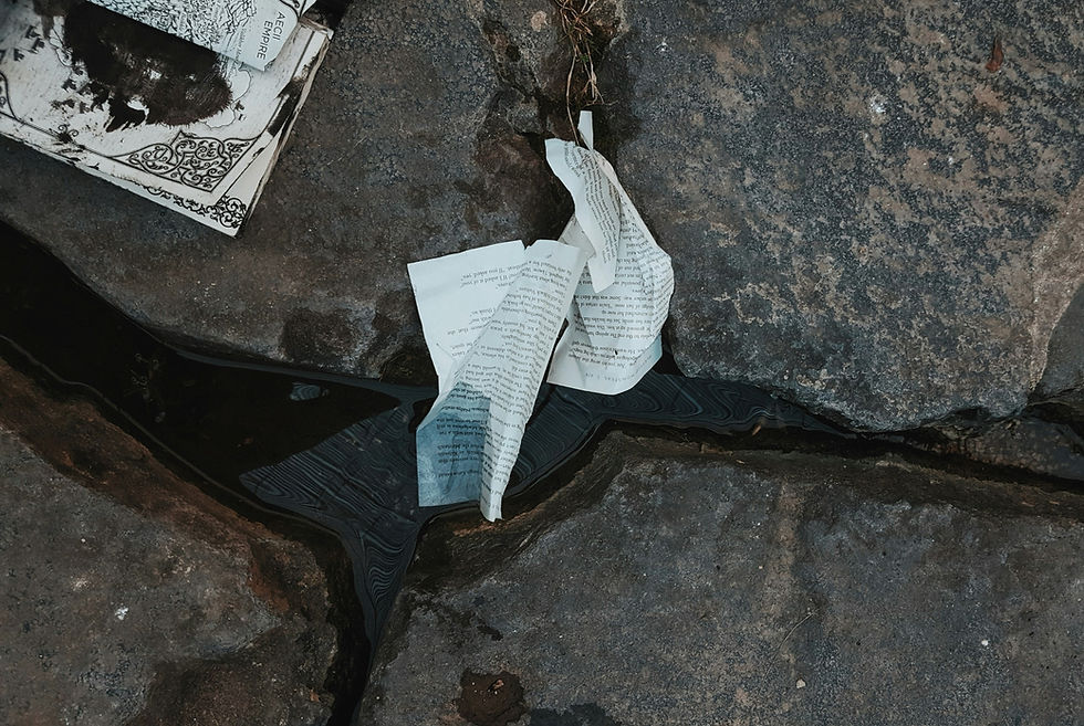 Typed pages sit crumpled in a water-filled crack between brown rocks.