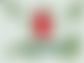 Arcane Review: A Blessing or a Jinx