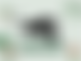 What is the Black Panther Party?