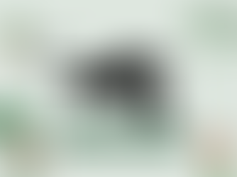 What is the Black Panther Party?