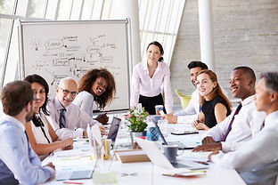 Examples of Affirmative Action Preparation, FAAPs, OFCCP Audits, OFCCP Compliance, Construction Audit, and Applicant Tracking