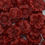 Thumbnail: Selection of flowers melts in organza bag - red colour - 55 pieces