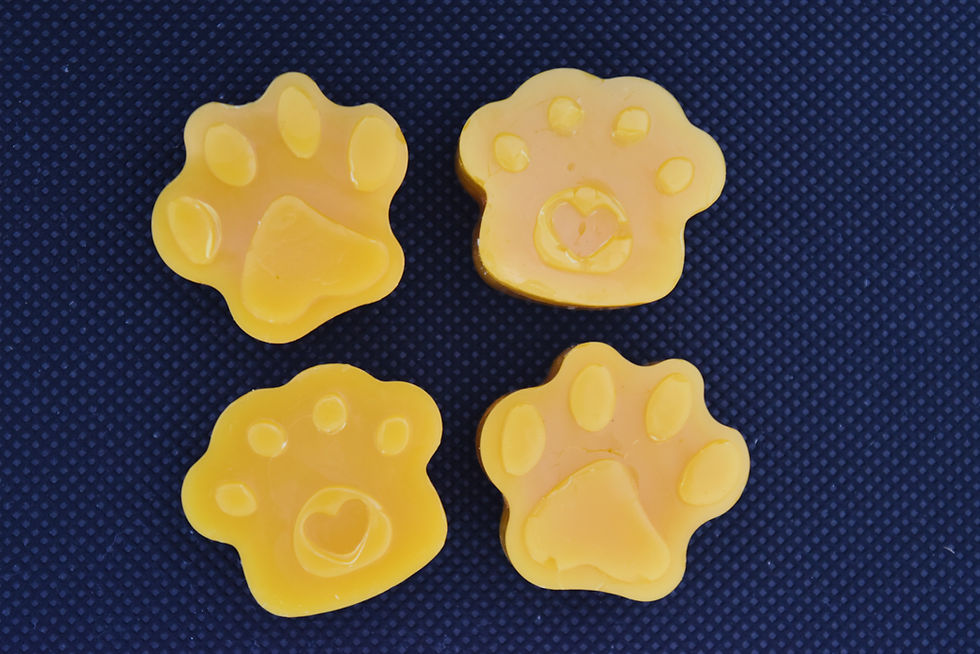Miniaturbild: Dow paw prints