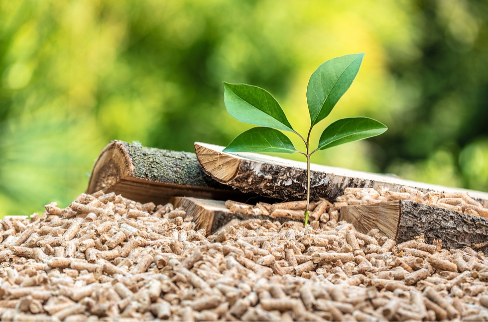 TERRE DI BRUCA (1080 x 1440 px) (20)_edited.png