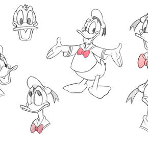 Library - 1 of 1.jpeg