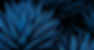 Naranja Negocios Servicios Sitio Web (5)_edited.jpg