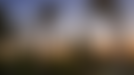 Ensayo sobre los alerces, por Alfonso Matus.