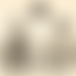 Lectora de Cioran y Virginia Woolf llega descompuesta al trabajo tras un viaje en Uber: