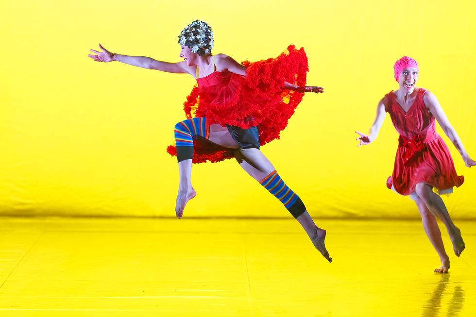 Monica Casadei - I bislacchi