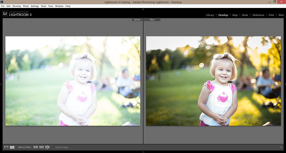 Photography 101 RAW versus JPEG. What Does it Mean and Why is it so
