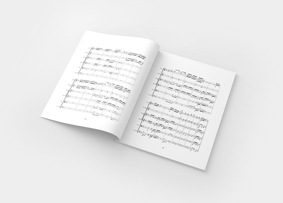 Thumbnail: Partiture | Vittoriano di Grazia