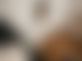 Dackel liegt entspannt im Sessel, Frauchen zeichnet neue Illustrationen