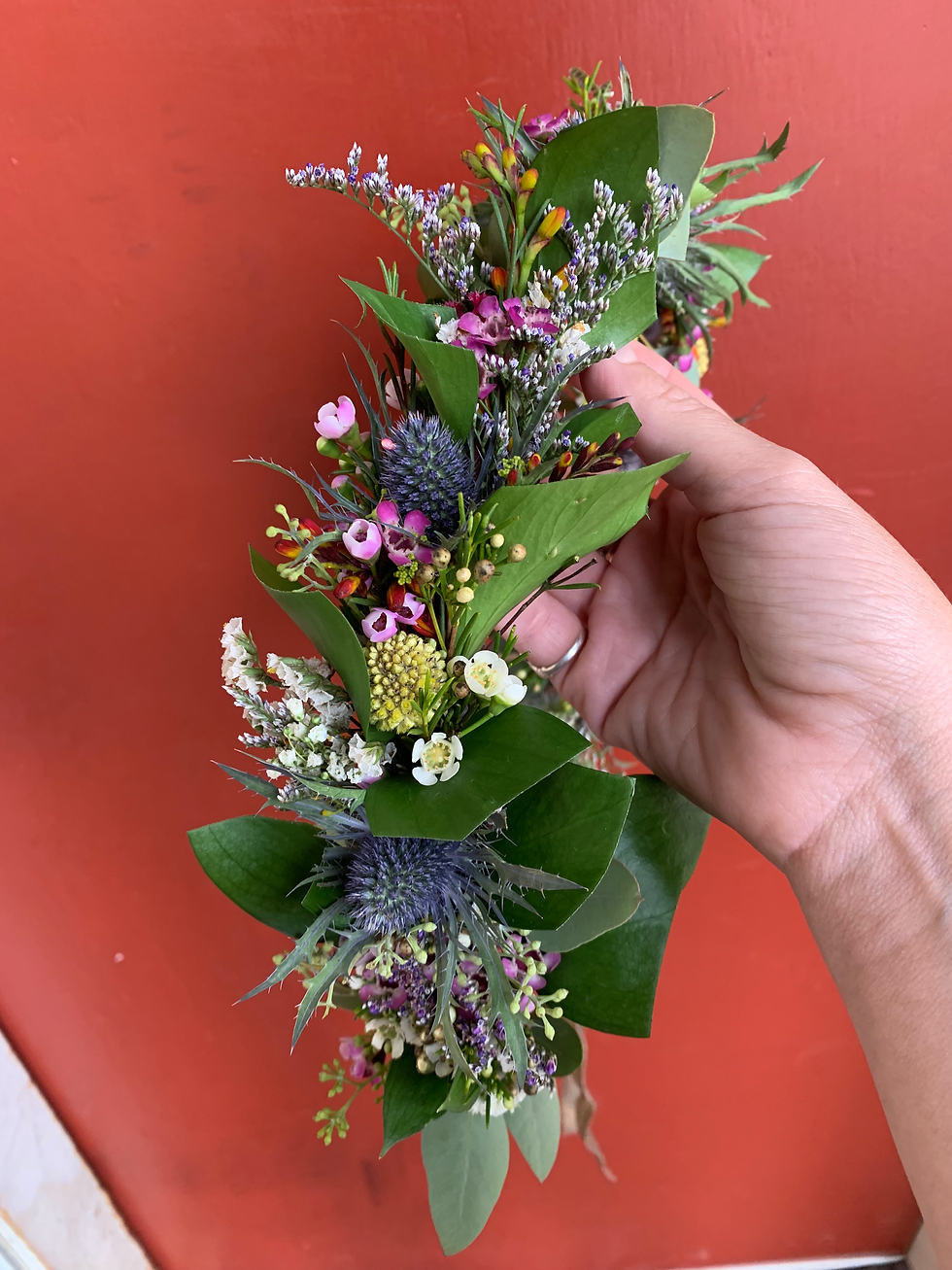 Thumbnail: Botanical Succulent Crown