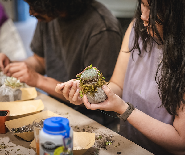 Screenshot 2026-03-25 at 5.15.08 PM.png