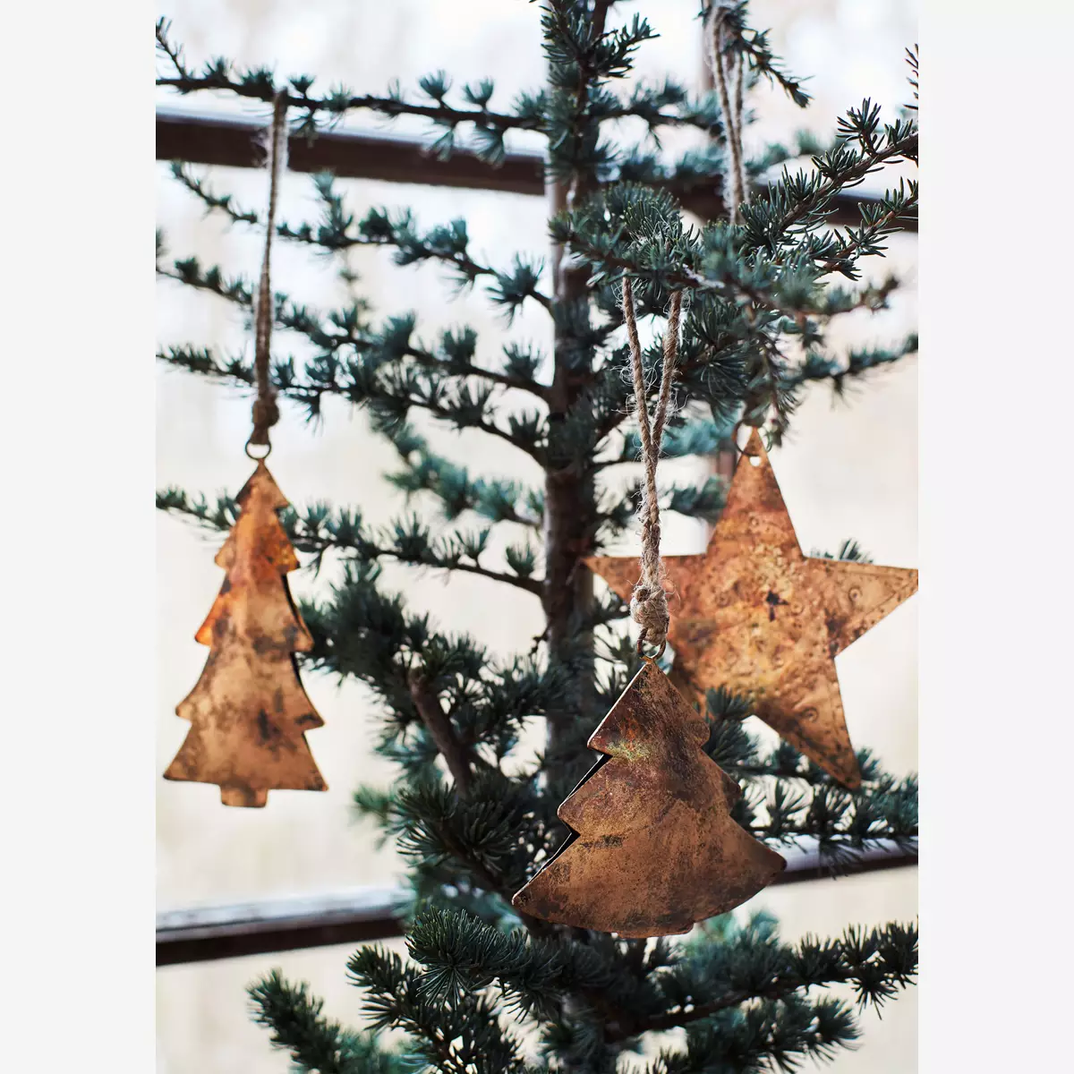 Tannenbaum Set.webp